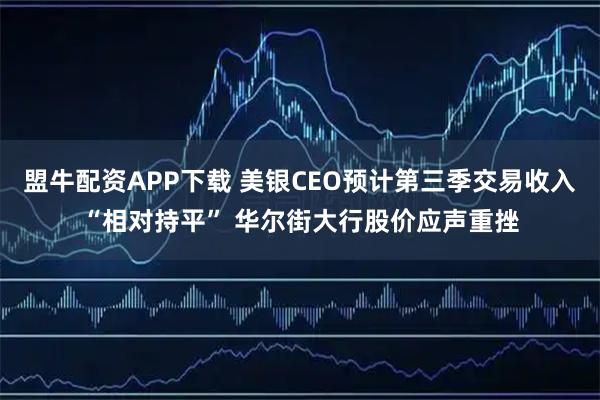 盟牛配资APP下载 美银CEO预计第三季交易收入“相对持平” 华尔街大行股价应声重挫